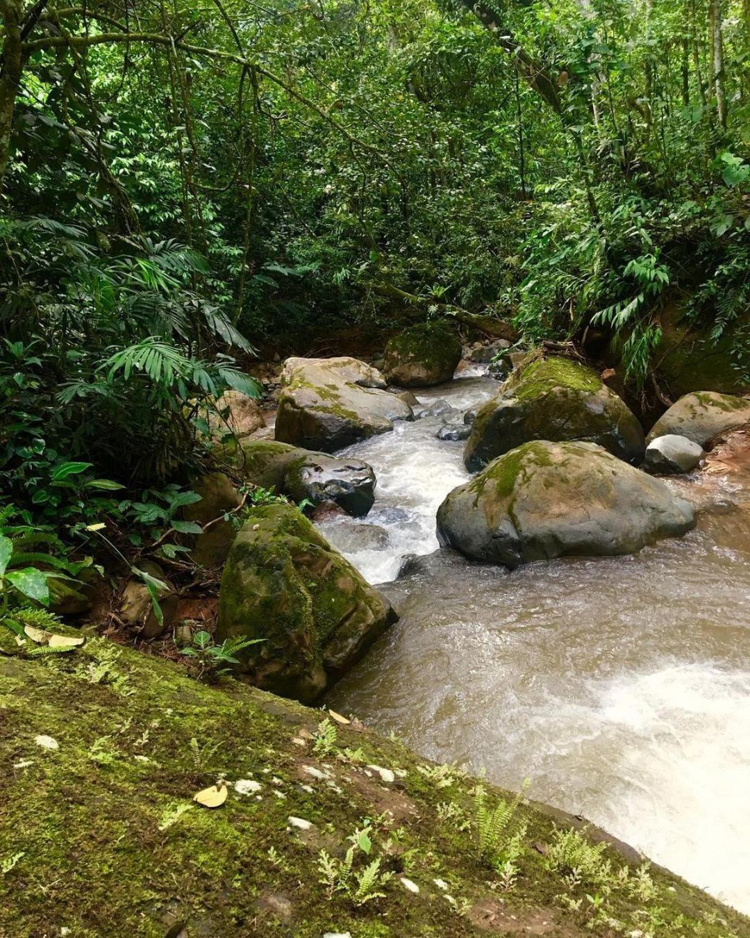 Montana Verde Rivas Extérieur photo